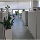 비전부동산공인중개사사무소 이미지