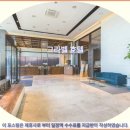 효성카클리닉 | 제주 그라벨 호텔 추천: 잊지 못할 제주 여행 후기