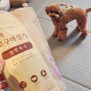 N&꽃설기 | 강아지화식 입문템 추천, 집밥프로젝트 전주떡갈비+자색고구마설기 리얼 후기
