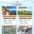 11~1월 국내 겨울여행 :: 정동진 해맞이, 속초 영금정, 호미곶 일출, 임진강적벽길, 서울 한강버스 등 이미지