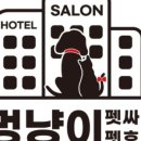 멍냥이 펫싸롱, 펫호텔 이미지