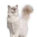 기분좋은 동물병원 이미지