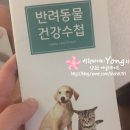 분당 필동물병원 이미지