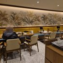 인천공항중학교 | 아시아나항공 제2여객터미널 이전 순환버스 탑승기