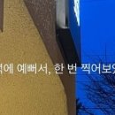 순수유