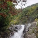 지수천 이미지