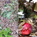 도은농장 이미지