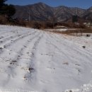 혜미농장 이미지