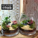 이끼상점ㅣ남양주 테라리움, 다산 원데이클래스 솔직 상세후기