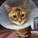 범 동물병원 이미지