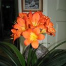 태백고원자연휴양림 이미지