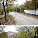 우분투민박 이미지