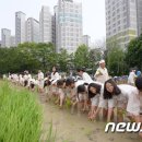 법인마들