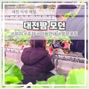흙둥지 | 대전 지하에 딸기농장이 있어요! 대전팜 모던 스마트팜 이색데이트
