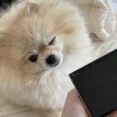 네일케이크