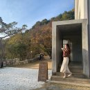 카페자연 이미지