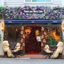 땡큐베리(Thankyou berry) 이미지