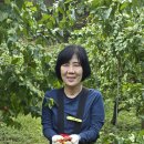 상동 472 이미지