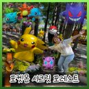 이런세상 | 서울숲 포켓몬 시크릿 포레스트 방문 후기, 진짜 포켓몬 세상이 있다면 이런 느낌일까? 30주년 팝업