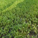 청도농장 이미지