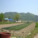 우곡면사무소 이미지