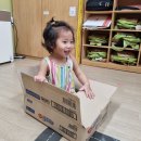 재활용 상자놀이~ 📦📦📦 이미지