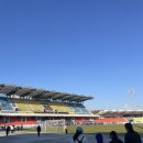 탄천종합운동장 | 2025년 성남시협회장기 걷기대회 후기 (탄천종합운동장 8km 걷기코스)