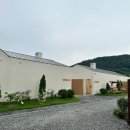 스테이 하냥 이미지