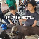 태화산체험마을 | 영월 태화산 휴양마을 체험학교 가족여행 추천｜아이와 함께하는 힐링 농촌체험