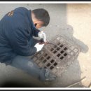 서부초등학교정문 이미지