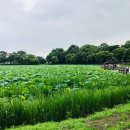 로터스커피앤베이커리 이미지