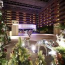 더라운지앤드바 이미지