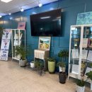 용곡C&C수영장 이미지