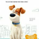 마이펫의 이중생활 이미지