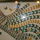 나비야놀자 이미지