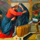 생명의 기쁨 이미지