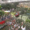 광명공판장 이미지