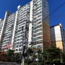 와이플란트치과의원 이미지