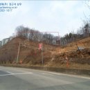 탄벌동-6 이미지