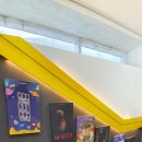 강남별이 이미지