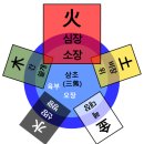 [사주와건강] 음식에 의한 분류-화(火) 이미지