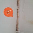 건일아파트 네이버블로그