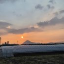 GR(영덕군)-[영덕로]-상-11 | [W17] 영덕 피로연후기 _ 모란면옥