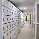 이젠피티 이미지