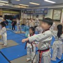 사랑태권도 이미지