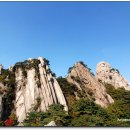 에덴동산 이미지