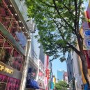 화창종합상사 | 명동 한 피부과