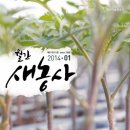 미래할알푸드 이미지