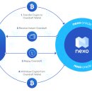 넥소 (NEXO)