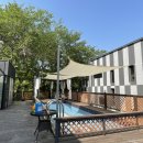 라파미 D 이미지